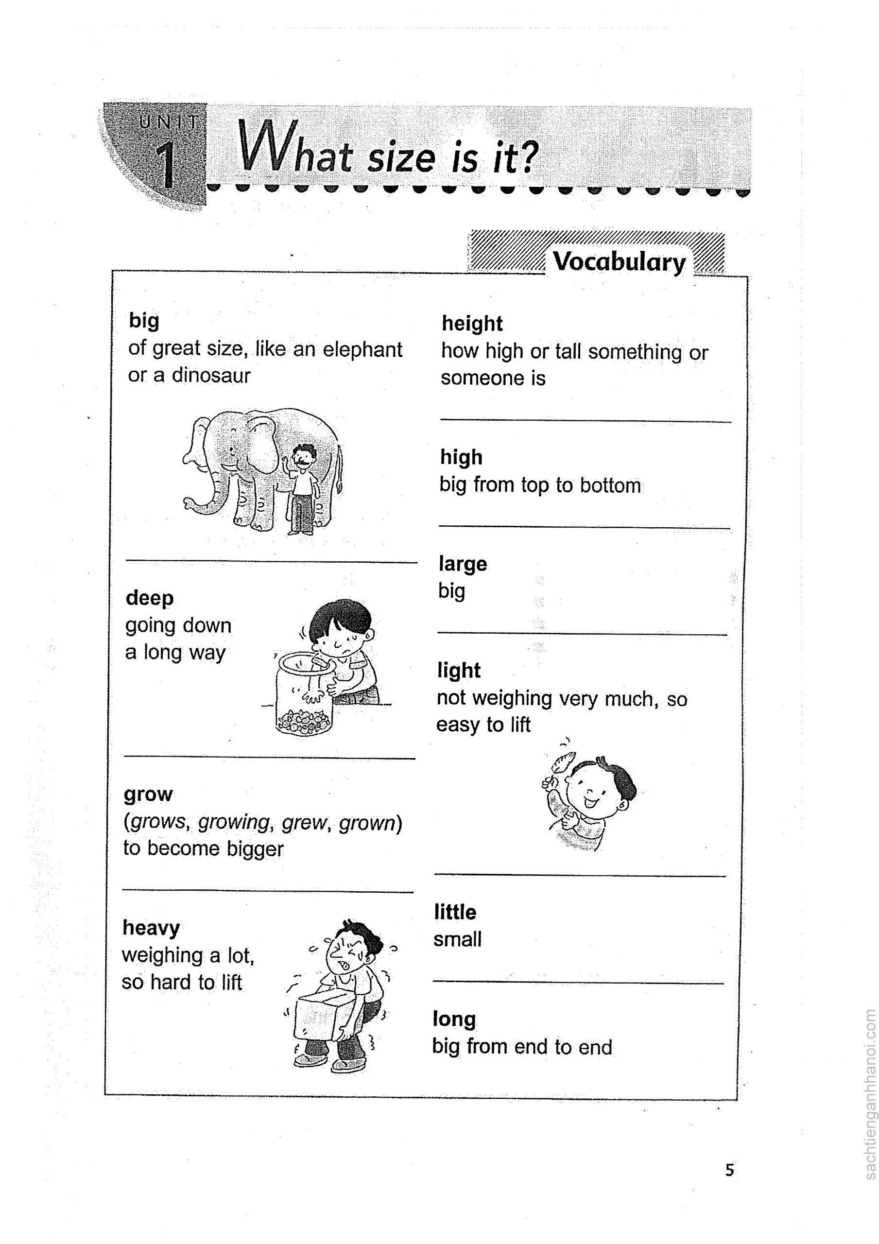 Essential Vocabulary in Context (PDF)