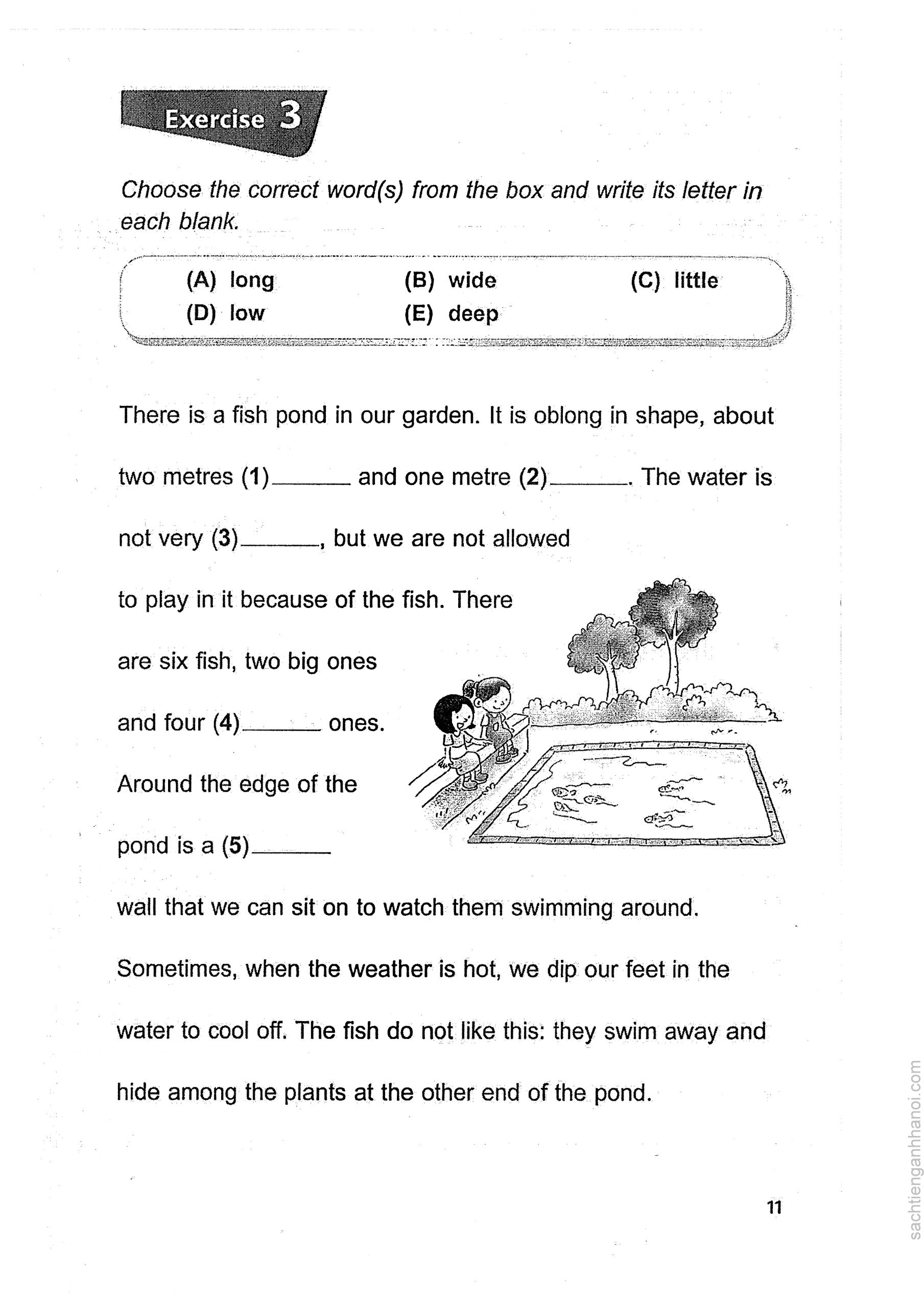 Essential Vocabulary in Context (PDF)