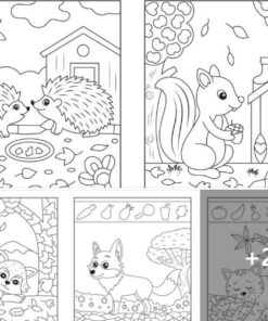 Hidden pictures basic (PDF)